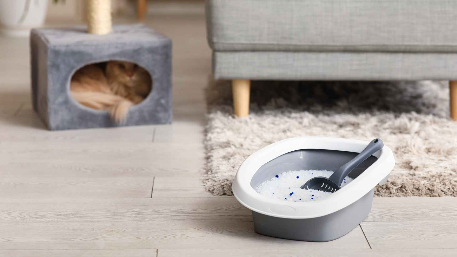 Is silica litter for cats good?