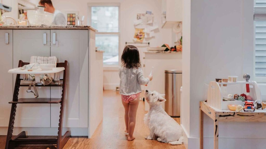 How to store and serve cooked dog food