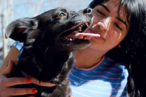 Black dogs: the most popular breeds, characteristics and curiosities